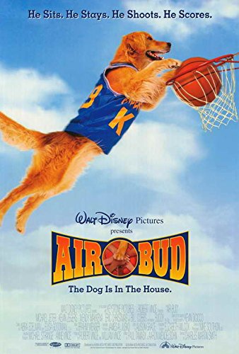 AirBud